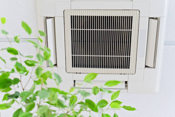 Best Air Duct Cleaning Near Me  in Fern Prairie, WA